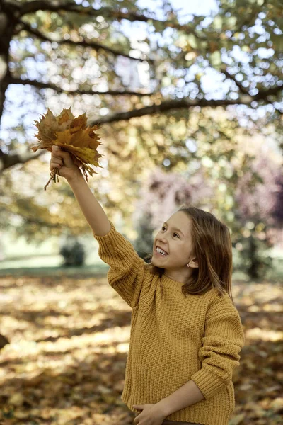 Kavkazská Dívka Drží Podzimní Kytici Listí — Stock fotografie
