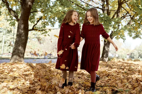 与秋天树叶在森林里玩乐的白人儿童兄弟姐妹 — 图库照片