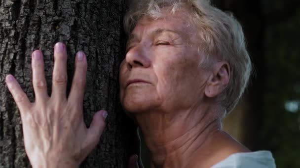 Mulher Idosa Calma Fazendo Exercícios Respiratórios Lado Árvore Parque Tiro — Vídeo de Stock