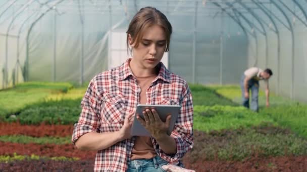 温室に立ってデジタルタブレットを使用する白人女性植物学者 8KでRedヘリウムカメラで撮影する — ストック動画