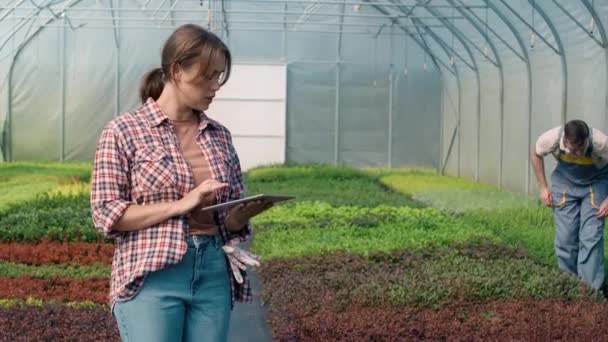 温室に立ってデジタルタブレットを使用する白人女性植物学者 8KでRedヘリウムカメラで撮影する — ストック動画