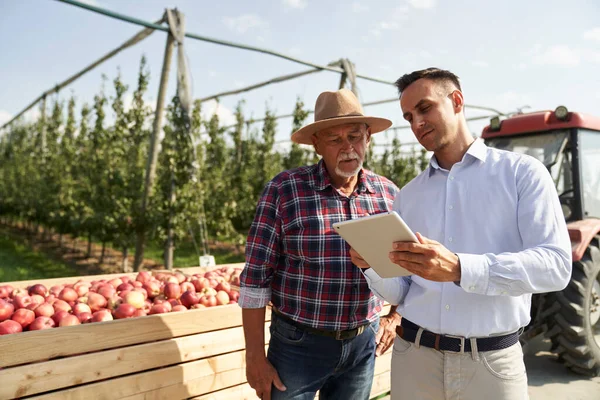 과수원에서 디지털 태블릿을 말하는 농부와 담당자 — 스톡 사진