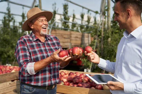 Starszy Rolnik Przedstawiciel Handlowy Rozmawiający Przez Tablet Cyfrowy Sadzie Jabłkowym — Zdjęcie stockowe