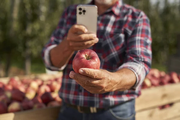 เกษตรกรท าไม ายร ปแอปเป — ภาพถ่ายสต็อก