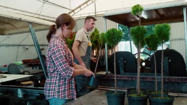 Two Caucasian Botanists Working Greenhouse Plants Seedling Shot Red Helium — Stock Video