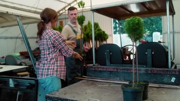 Dois Botânicos Caucasianos Que Trabalham Estufa Sobre Mudas Plantas Tiro — Vídeo de Stock