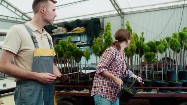 植物の種子とタブレットを使用して温室で働く2人の慎重な植物学者 8KでRedヘリウムカメラで撮影する — ストック動画