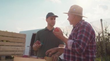 Meyve bahçesi kıdemli çiftçisi ve satış temsilcisi elma dolu kutunun üzerinde sohbet ediyorlar. 8K 'da kırmızı helyum kamerayla çekildi..  