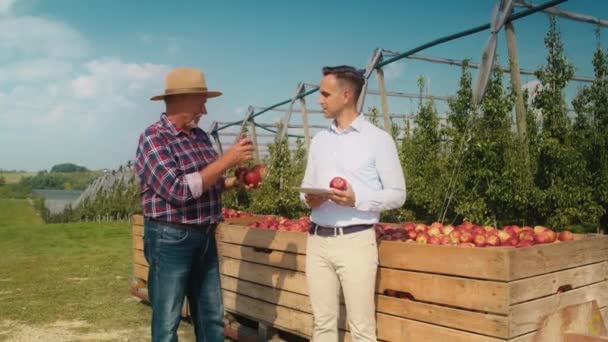 Senior Boer Vertegenwoordiger Praten Digitale Tablet Appelboomgaard Opgenomen Met Red — Stockvideo