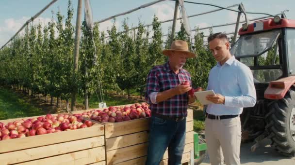 资深农民和销售代表在苹果园谈论数码平板电脑 用8K的红色氦相机拍摄 — 图库视频影像