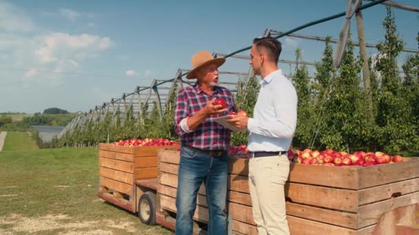 Senior Farmer Sales Representative Talking Digital Tablet Apple Orchard Shot — Stock Video