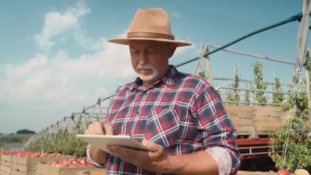 Senior Farmář Používající Digitální Tablet Když Stojí Jablečné Farmě Snímek — Stock video