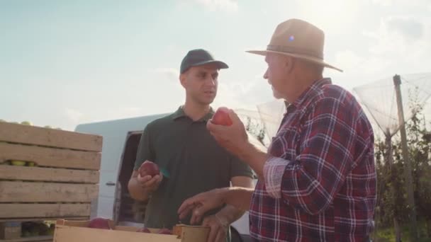 Pomar Agricultor Sênior Representante Vendas Conversando Sobre Caixa Cheia Maçãs — Vídeo de Stock