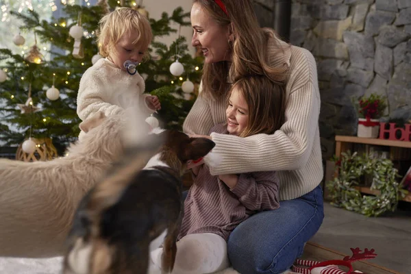 クリスマスに犬と遊ぶ家族 — ストック写真