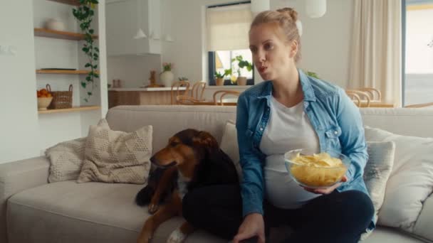 Έγκυος Γυναίκα Βλέποντας Τηλεόραση Και Τρώγοντας Πατατάκια Ένα Σκυλί — Αρχείο Βίντεο