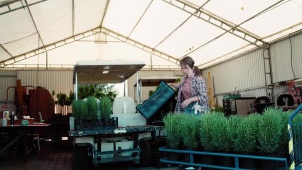 Kaukasisk Kvinnlig Botaniker Som Arbetar Växthus Över Växter Skjuten Med — Stockvideo