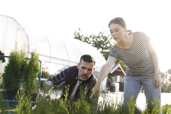 Mitarbeiter Berät Kunden Über Pflanzen Gartencenter — Stockfoto