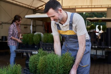 İki Kafkasyalı botanikçi serada filizlenen bitkiler için çalışıyor.