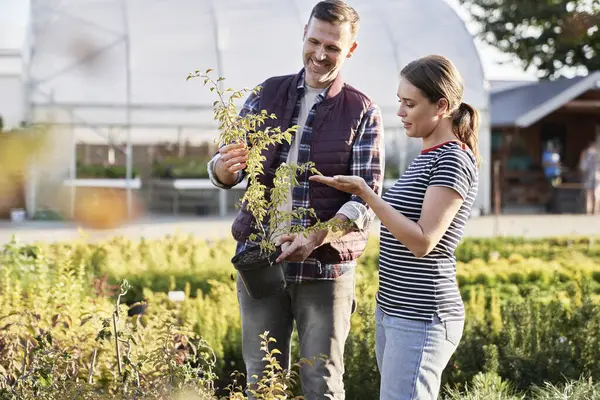 Şçi Bahçe Merkezindeki Bitkiler Konusunda Müşteriye Tavsiyede Bulunuyor — Stok fotoğraf