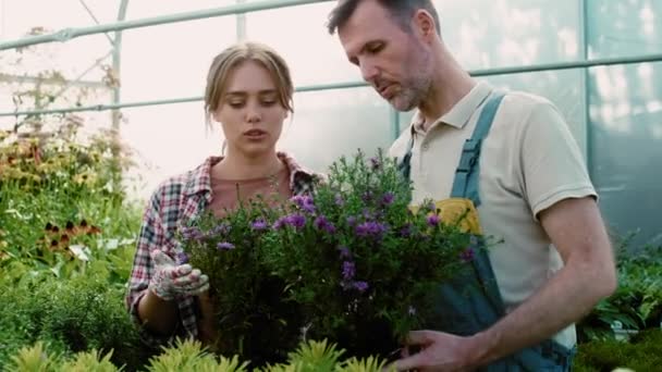 Två Kaukasiska Botaniker Arbetar Växthus Över Blommor Skjuten Med Red — Stockvideo