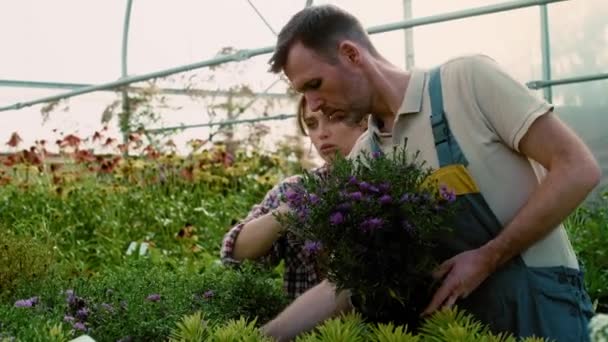 Ogrodnicy Umieszczają Puste Etykiety Pudełku Kwiatów Nakręcony Aparatem Hel Red — Wideo stockowe