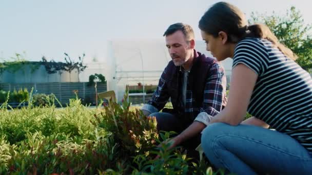 Bahçe Merkezindeki Bitkiler Için Müşteriye Danışmanlık Yapan Bir Işçi Kırmızı — Stok video