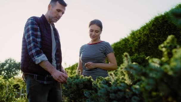 Nízký Úhel Pracovníka Radí Klientovi Ohledně Jehličnatých Rostlin Zahradním Centru — Stock video