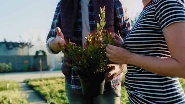 Felismerhetetlen Munkás Tanácsokat Ügyfélnek Kertészeti Központban Lévő Növényekről Lövés Red — Stock videók