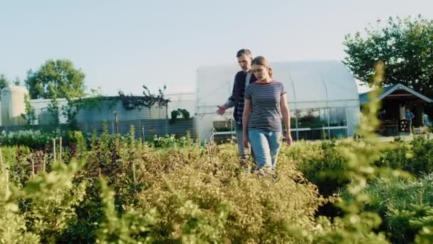 Brett Skott Arbetare Som Vägleder Kunden Över Växter Trädgårdscentrum Skjuten — Stockvideo