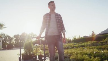 Bahçe merkezi çalışanı otlarla dolu bir tramvayı çekiyor. 8K 'da kırmızı helyum kamerayla çekildi.. 