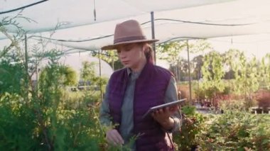 Beyaz kadın botanikçi yürüyor ve dijital tablet kullanıyor. 8K 'da kırmızı helyum kamerayla çekildi.. 