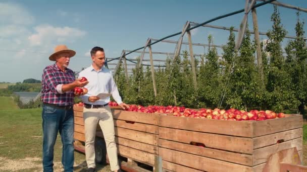 Agricultor Senior Representante Ventas Hablando Través Tableta Digital Huerto Manzanas — Vídeos de Stock