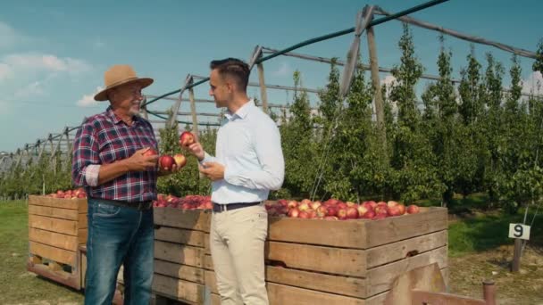 Starszy Rolnik Przedstawiciel Handlowy Rozmawiający Skrzyni Jabłkami — Wideo stockowe
