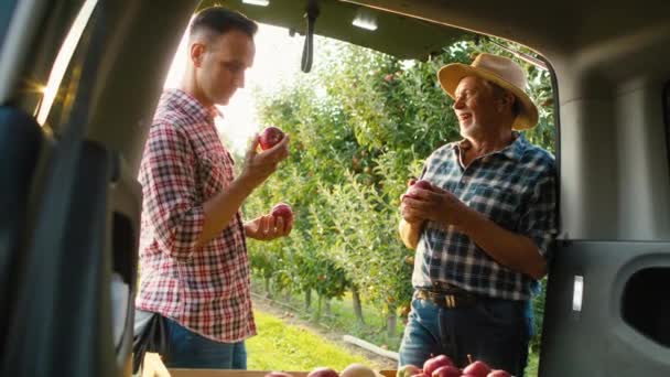 Dos Agricultores Huerta Pie Junto Coche Con Cajas Llenas Manzanas — Vídeos de Stock