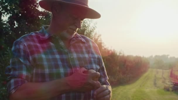 农夫站在果园上给苹果分配任务 — 图库视频影像