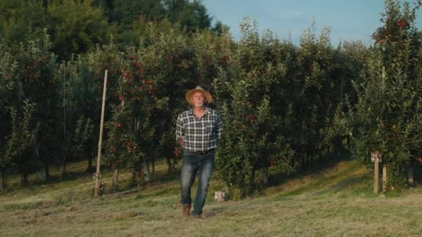 Широкий Знімок Старшого Фермера Ходить Полю Саду — стокове відео
