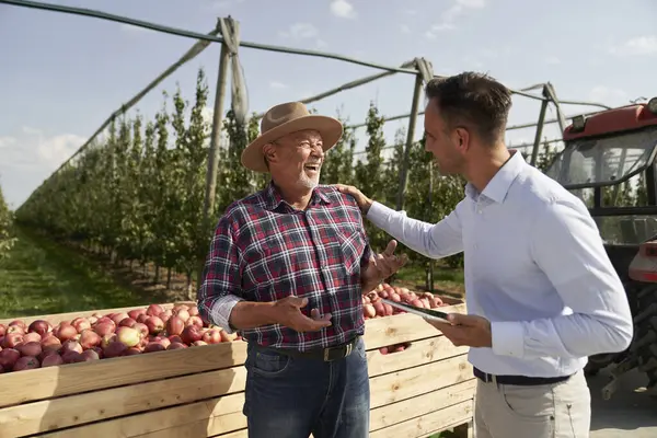 Senior Landwirt Und Vertriebsmitarbeiter Gespräch Über Digitales Tablet Auf Apfelplantage Stockbild