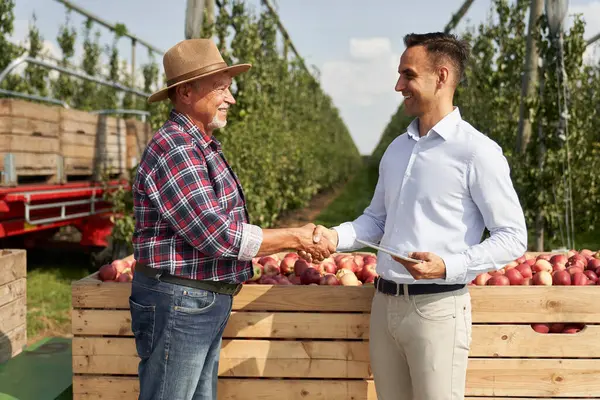 Successful Transaction Senior Farmer Sales Representative Apple Orchard — Stock Photo, Image
