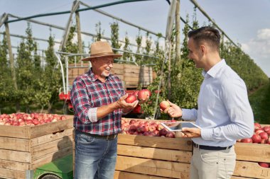Kıdemli çiftçi ve satış temsilcisi elma bahçesinde dijital tablet üzerinde konuşuyor