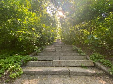 Şehirdeki dolambaçlı merdivenlerin manzarası, tepeye çıkan parktaki uzun taş basamaklar.