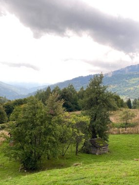 Dağlardaki hayvanlar için eski ahır, Karpat dağlarındaki sisli hava