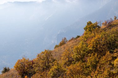 Ağaçlar ve dağlarla dolu sonbahar manzarası