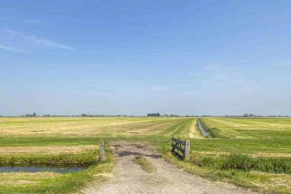 Gate open in agricultural land, bright green meadow with high sky and clear horizon and copy space