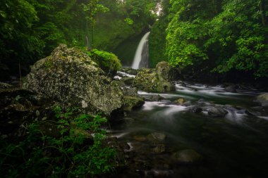 Sabahları şelaleli ve güzel yeşil tropikal ormanlı Endonezya manzara fotoğrafı