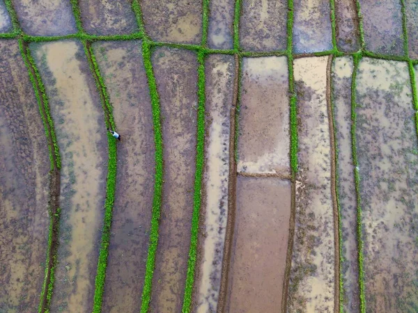 空中写真からのアブストラクトな線状農場の道 — ストック写真