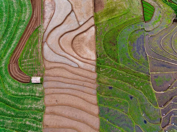 Indonesisch Landschap Met Rijstvelden Ochtend Mooie Hoge Bergen — Stockfoto