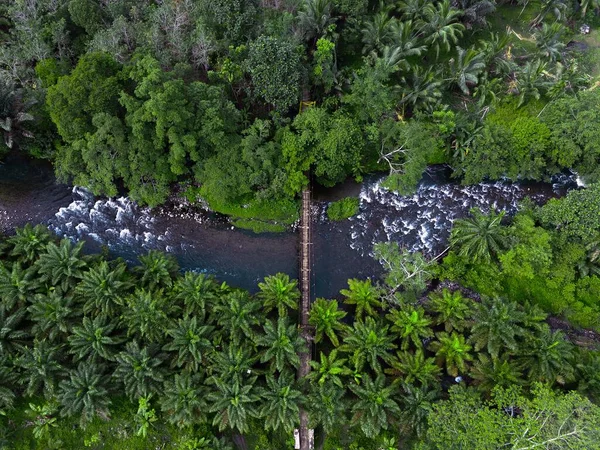 森と美しい川が流れるインドネシアの自然景観 ストック画像