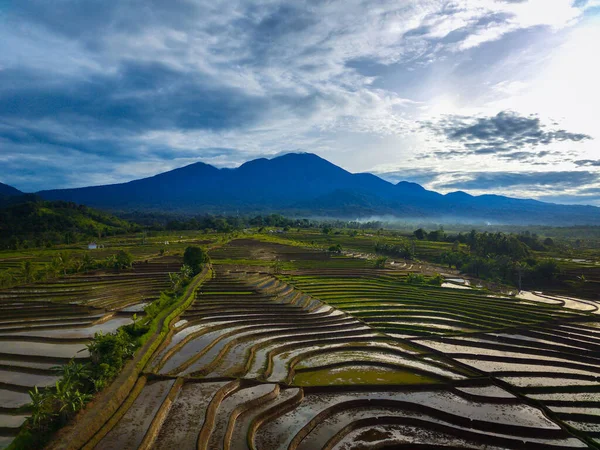 Indonéz Táj Gyönyörű Rizsföldekkel Hegyekkel Egy Napos Reggelen — Stock Fotó