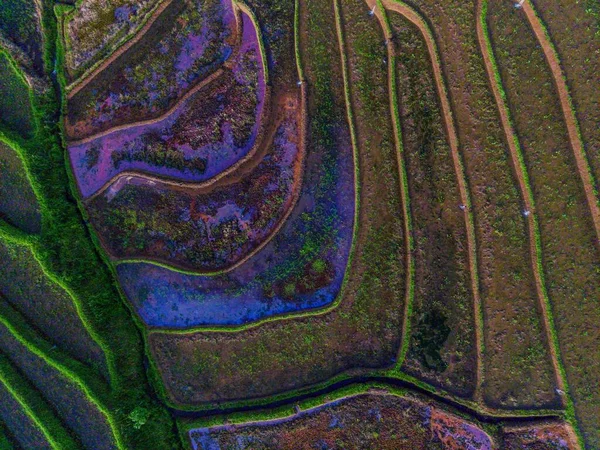 Индонезийский Пейзаж Абстрактными Рисовыми Террасами — стоковое фото