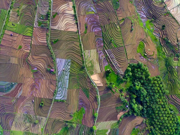Pohledy Indonéská Rýžová Pole Krásnými Barevnými Terasovými Nádržemi — Stock fotografie